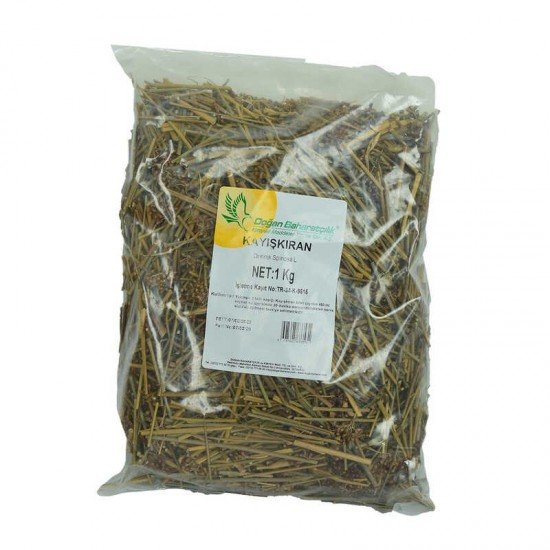 Kayışkıran Otu Doğal 1000 Gr Paket Kayışkıran Otu Doğal 1000 Gr Paket
