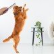 Kıtık Açıcı Metal Kedi Köpek Tarağı Kıtık Açıcı Metal Kedi Köpek Tarağı