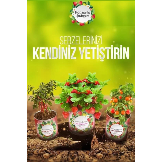 Konserve Bahçem Evde Konservede Fındık Turp Yetiştirme Kiti ( Lisinya ) Konserve Bahçem Evde Konservede Fındık Turp Yetiştirme Kiti ( Lisinya )