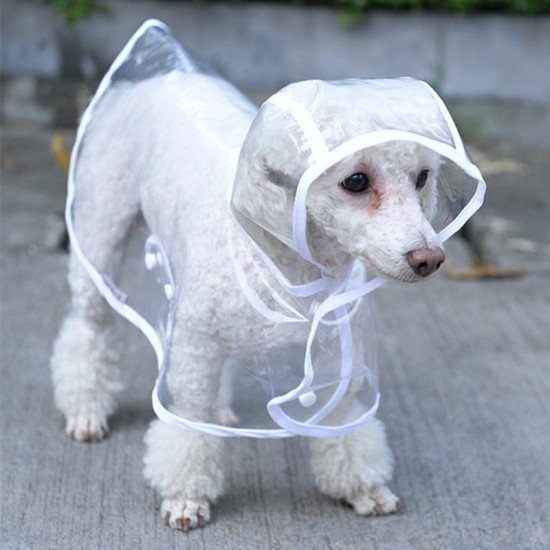 Köpek Yağmurluğu -Sarı - (Small) Köpek Yağmurluğu -Sarı - (Small)
