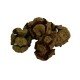 Selvi Kozalağı Doğal 100 Gr Paket Selvi Kozalağı Doğal 100 Gr Paket