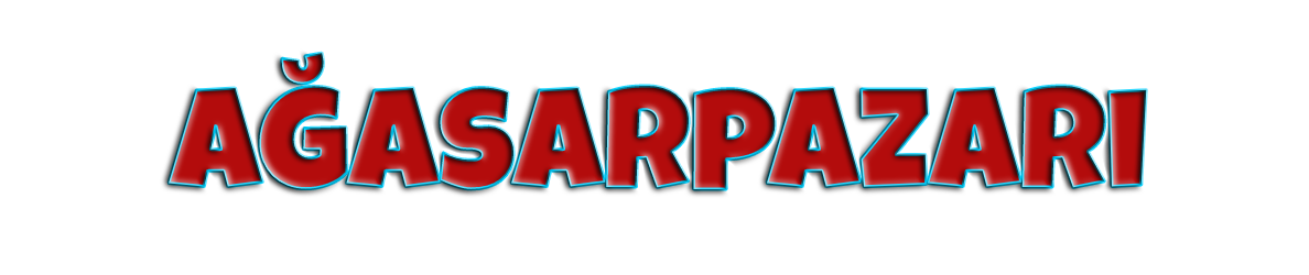www.agasarpazari.com